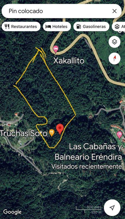Foto de la galeria de imagenes